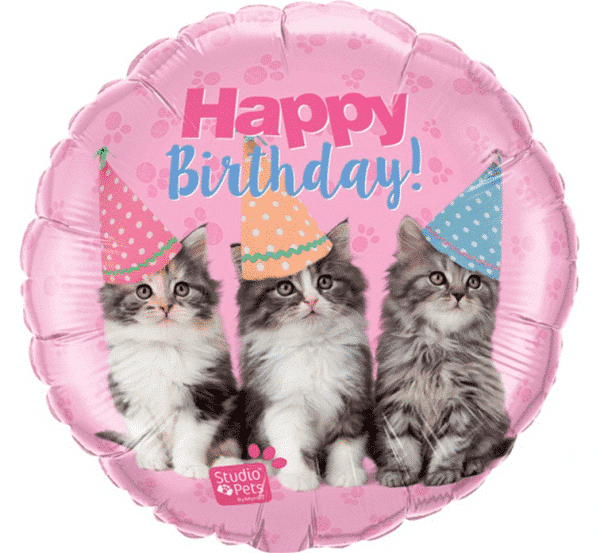 Balon foliowy – Kotki, Happy Birthday, 18″ Balony bez helu Sprawdź naszą ofertę. Sklep imprezowy Szalony.pl. 2