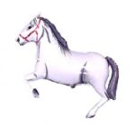 Balon bez helu: Konik, 24"