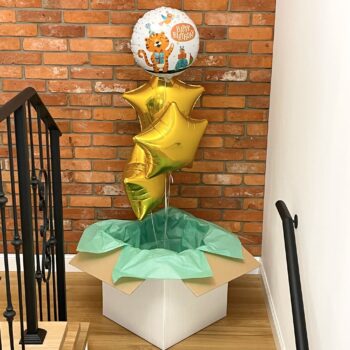 Pudło balonowe: Urodzinowy Tygrysek, Nr. 27 – Wszystkie produkty – Szalony.pl