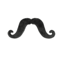 Sztuczne wąsy – Artysta, czarne – Przebrania imprezowe – Szalony.pl