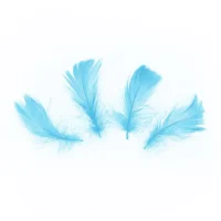 Piórka – Niebieskie, 50 sztuk, 10-15 cm – Dekoracje na Baby Shower – Szalony.pl