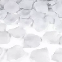 Płatki róż – srebrne, 100 szt. – Dekoracje imprezowe – Szalony.pl