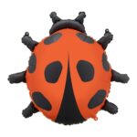 Balon bez helu: Biedronka, 66x65cm – Balony foliowe – Szalony.pl