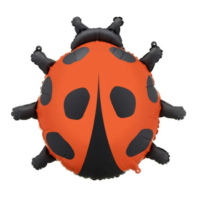 Balon bez helu: Biedronka, 66x65cm – Balony foliowe – Szalony.pl