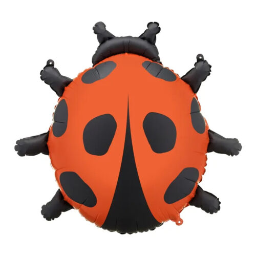 Balon z helem: Biedronka, 66x65cm