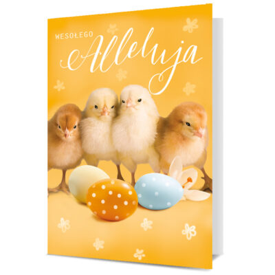 Kartka okolicznościowa – Kurczaki i pisanki – Wszystkie produkty – Szalony.pl